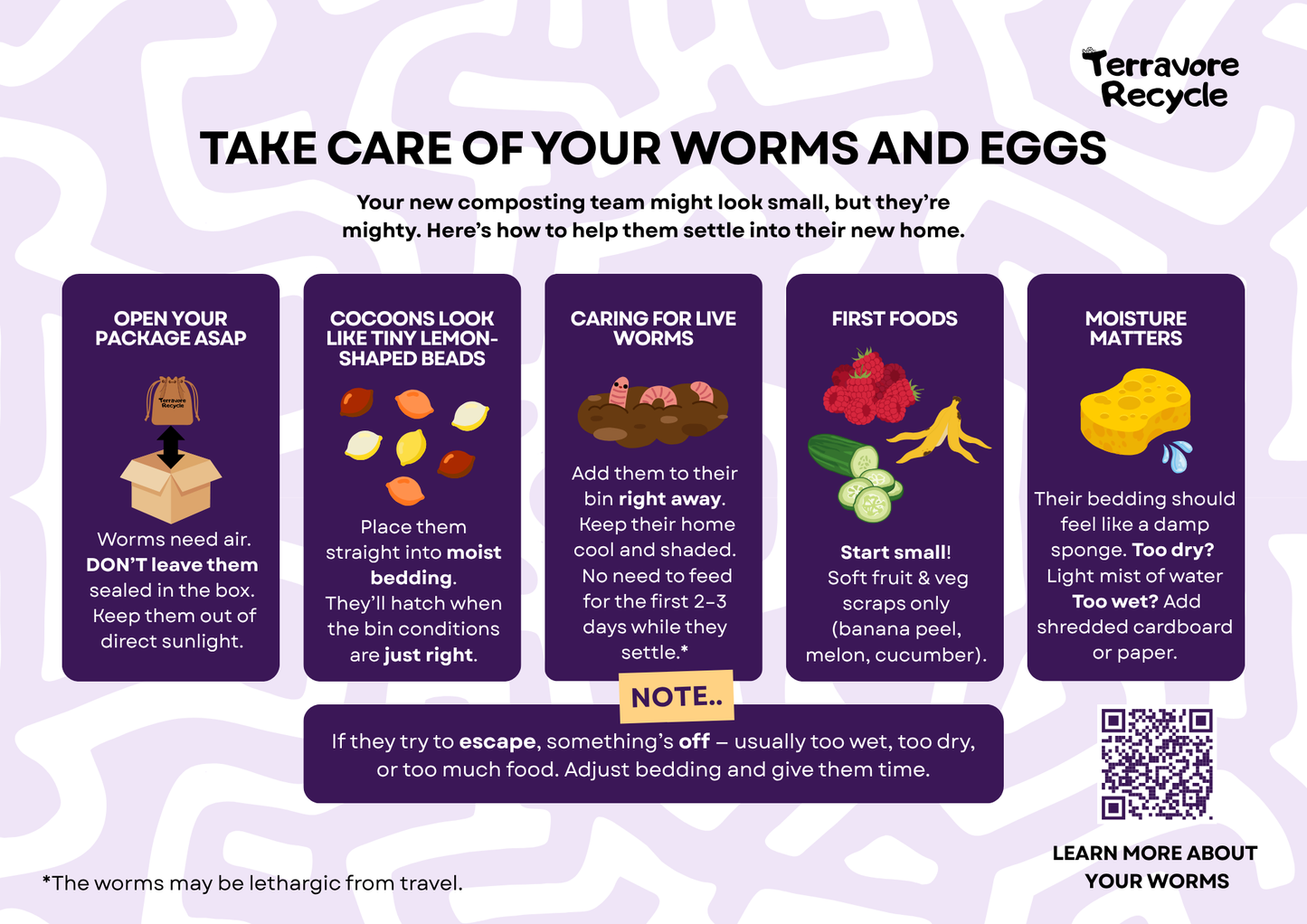 Red Wiggler Worms