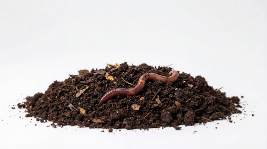 Worm Castings