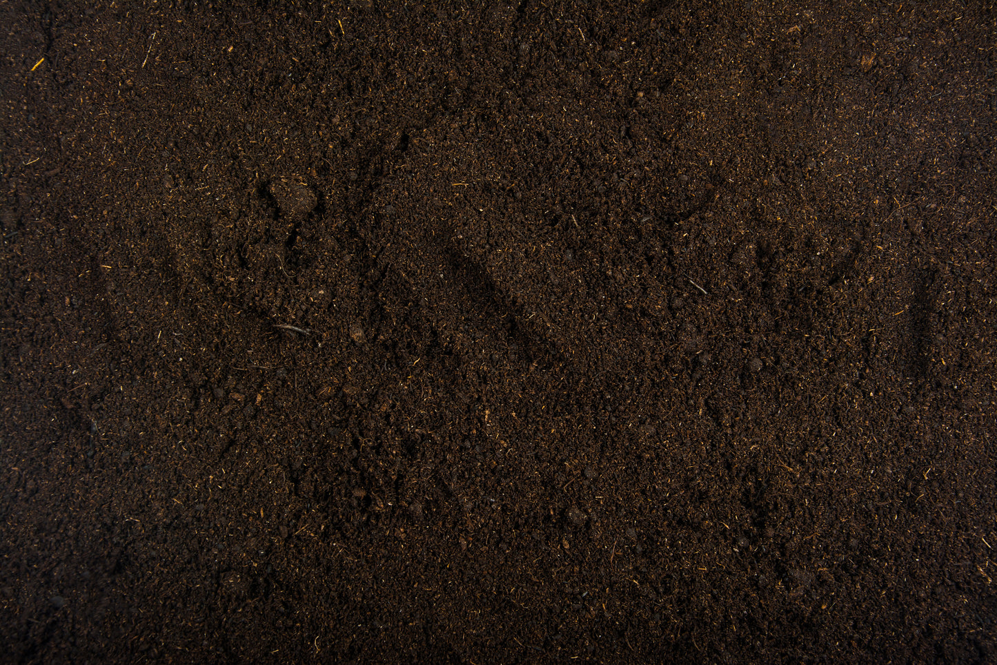 Worm Castings