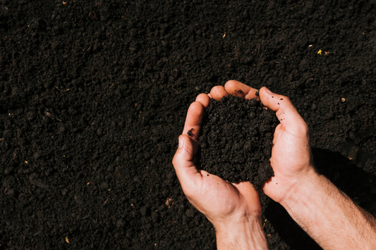 How Much Vermicompost Should You Use (Avoid Overuse)