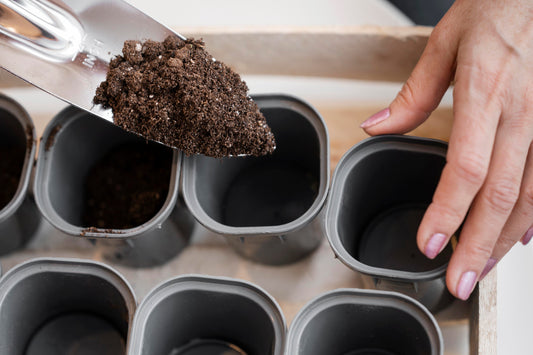 How to Repot Plants Using Vermicompost (Step-by-Step Guide)