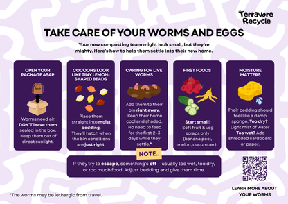 Red Wiggler Worms