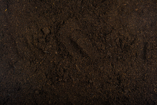 Worm Castings